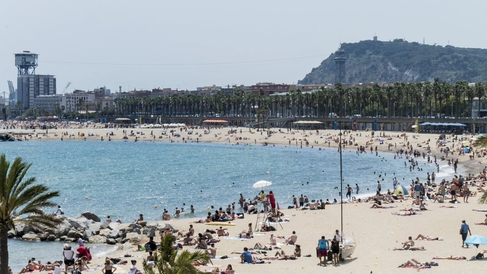 Una de las playas del litoral de Barcelona