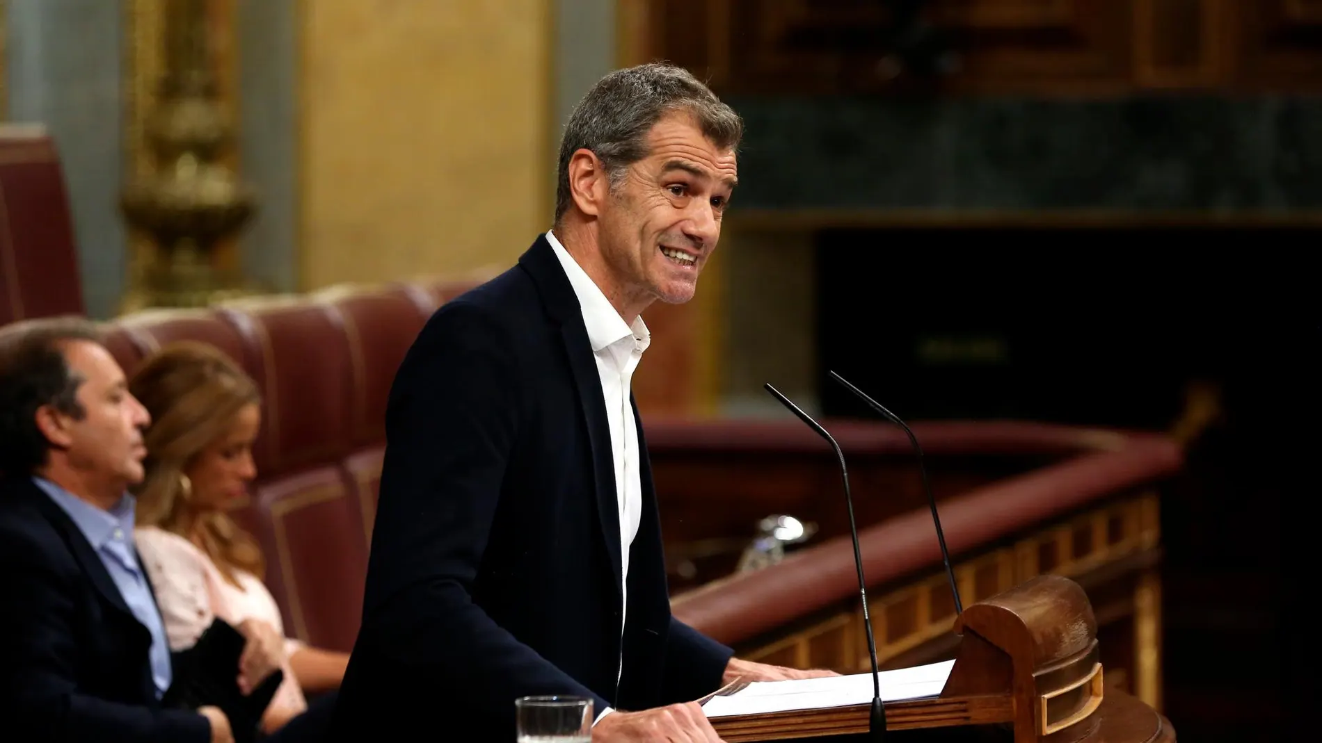 Toni Cantó en el Congreso