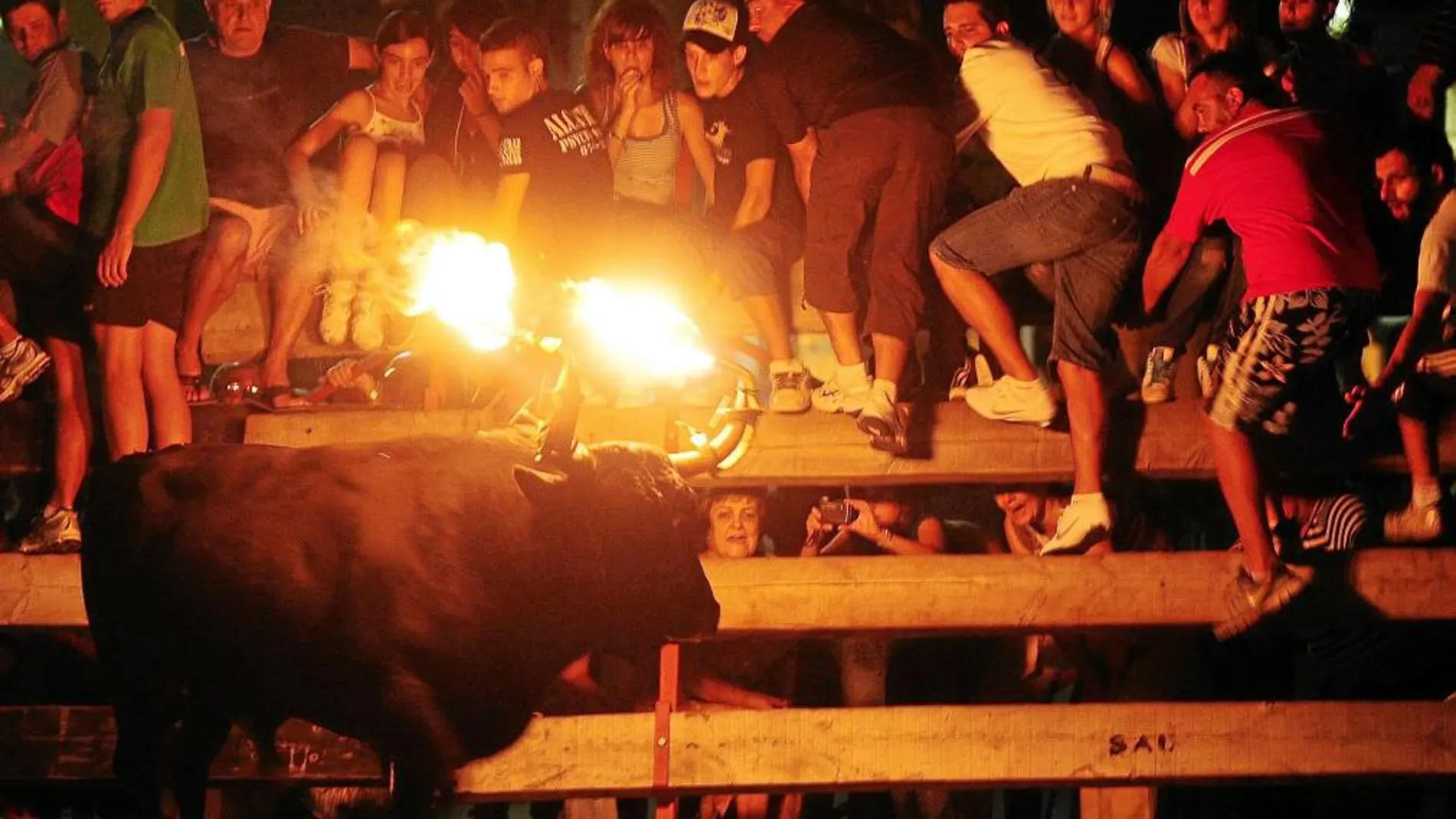 Los toros embolados son uno de los festejos taurinos tradicionales