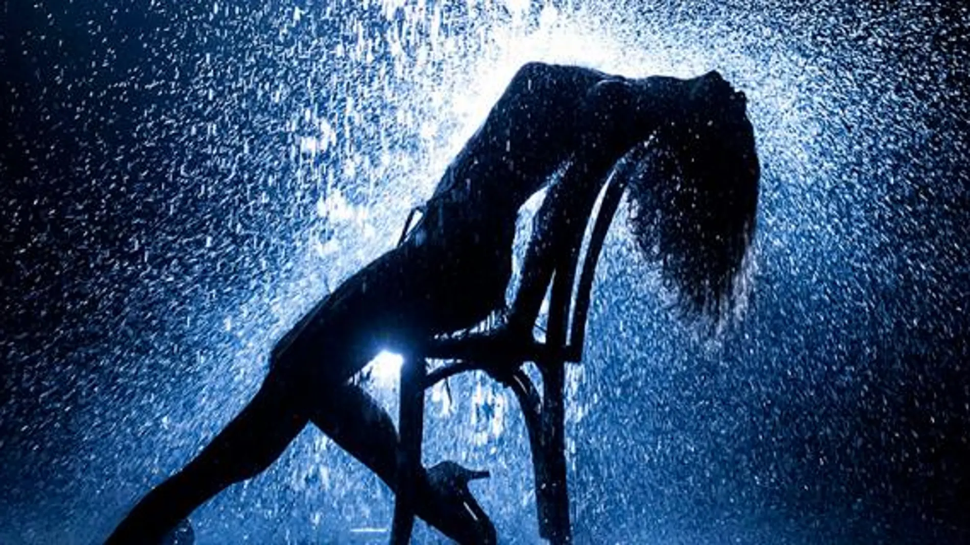 “Flashdance” ha sido uno de las últimas adaptaciones musicales de una película que hemos podido ver
