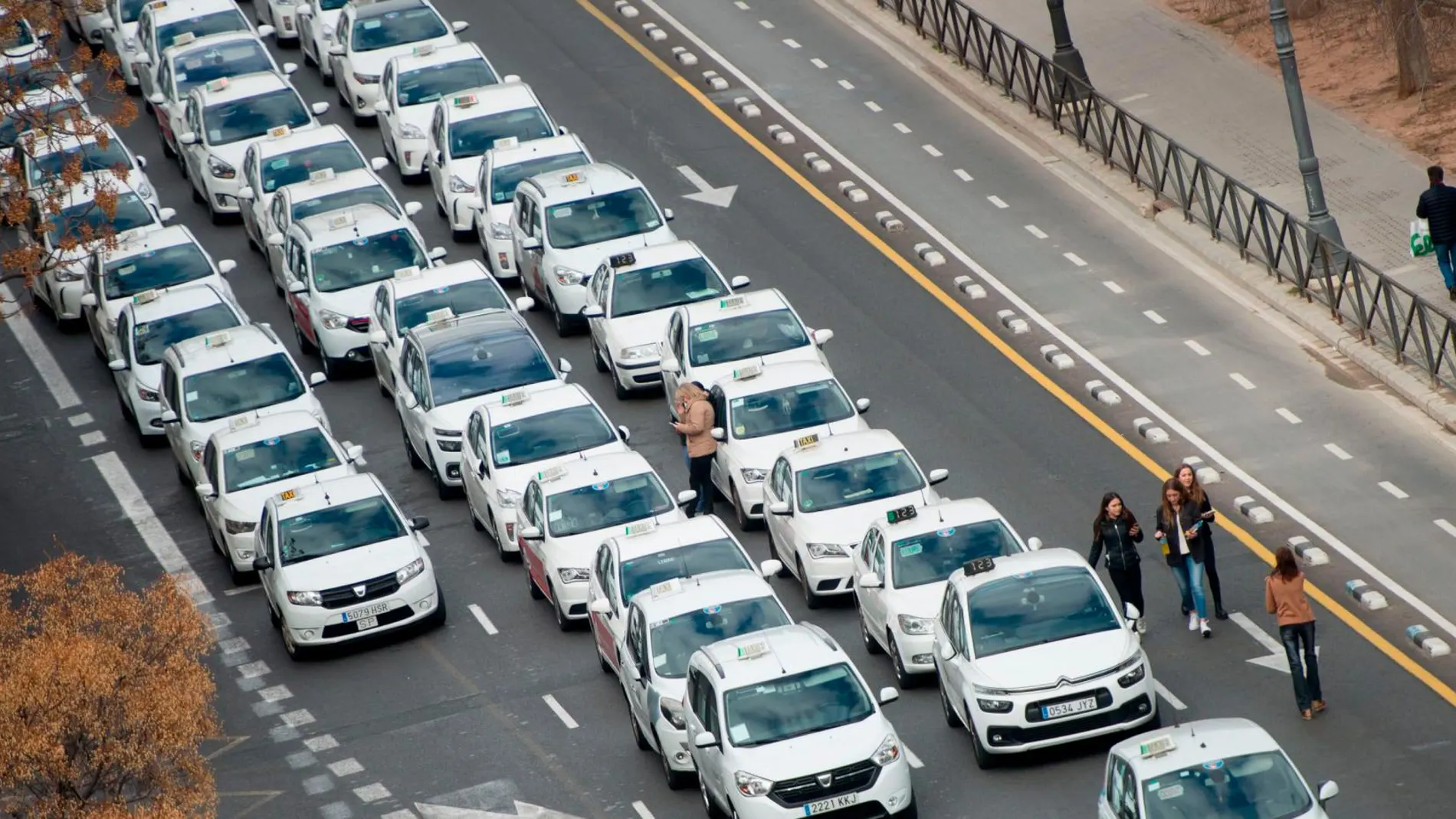 Siete asociaciones de taxistas convocaron ayer una protesta en defensa del sector, con una cola de vehículos aparcados desde la calle Pintor López hasta la calle Xàtiva y una marcha a pie hasta el Palau de la Generalitat