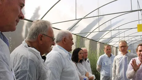 Llanes, tercero por la derecha, escucha una explicación sobre la Xylella Fastidiosa junto a representantes agrarios