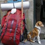 Cinco consejos para viajar de vacaciones con nuestra mascota