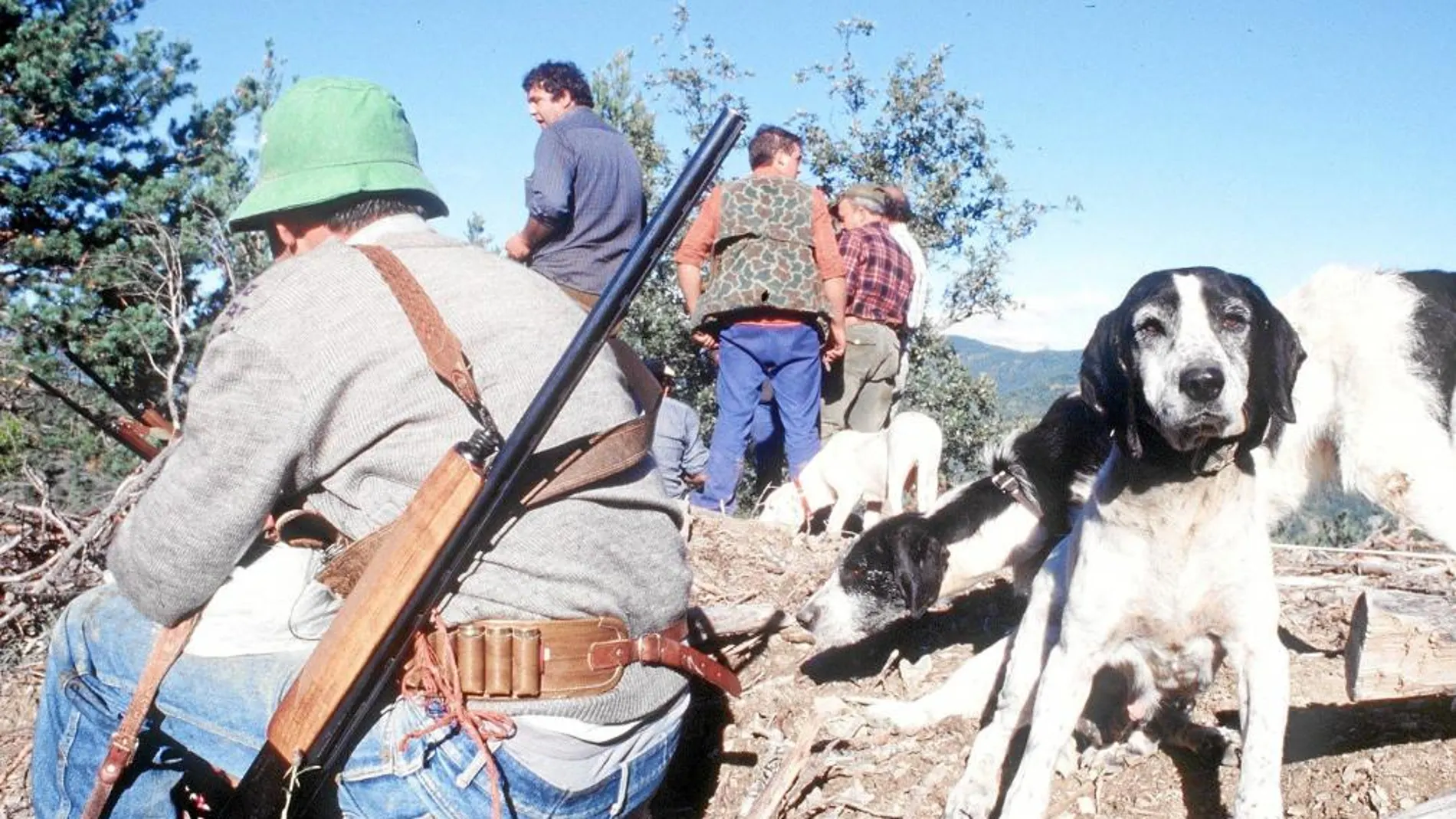 En dos de cada tres hectáreas de Madrid está permitido algún tipo de caza