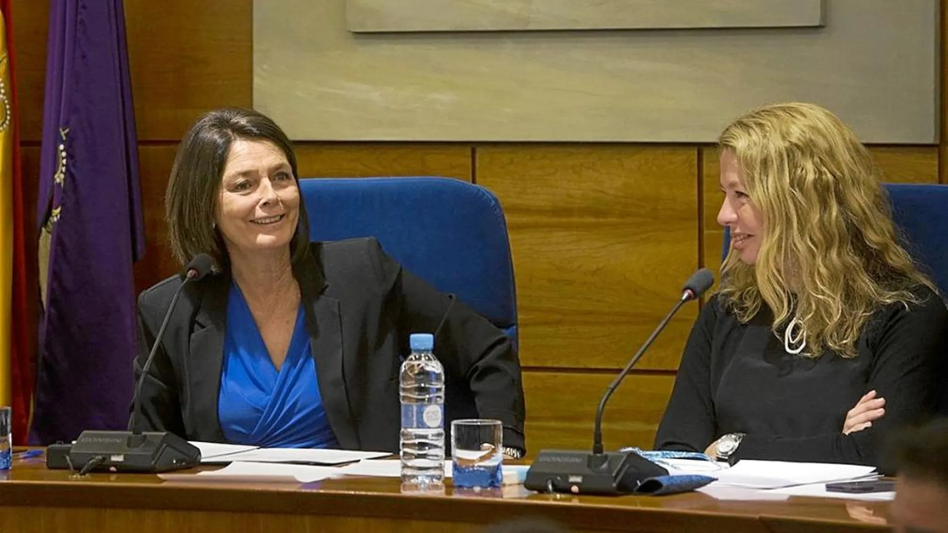 La alcaldesa del municipio, Paloma Adrados, en el Pleno del jueves