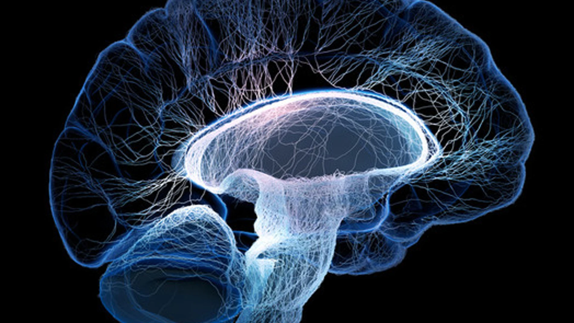 Bajo anestesia, los estados cerebrales son “bastante particulares”