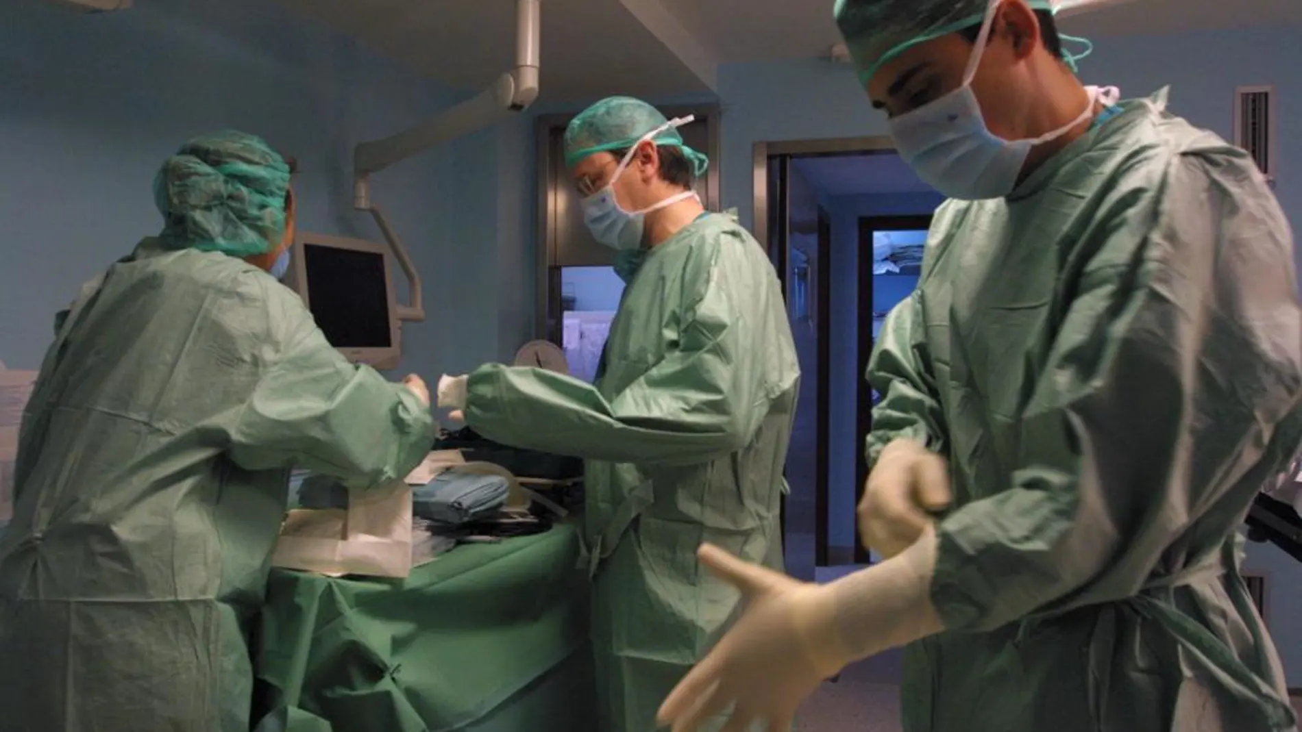 España, líder mundial en trasplantes y donaciones en 2014