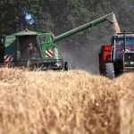 Los robos en las fincas agrícolas han repuntado en los últimos meses
