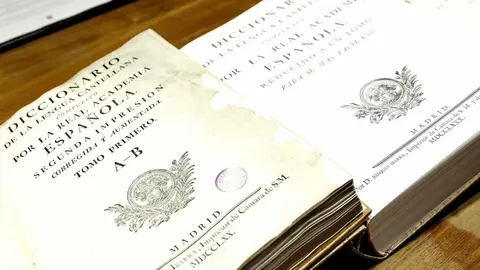Diccionario de la Real Academia Española (RAE)