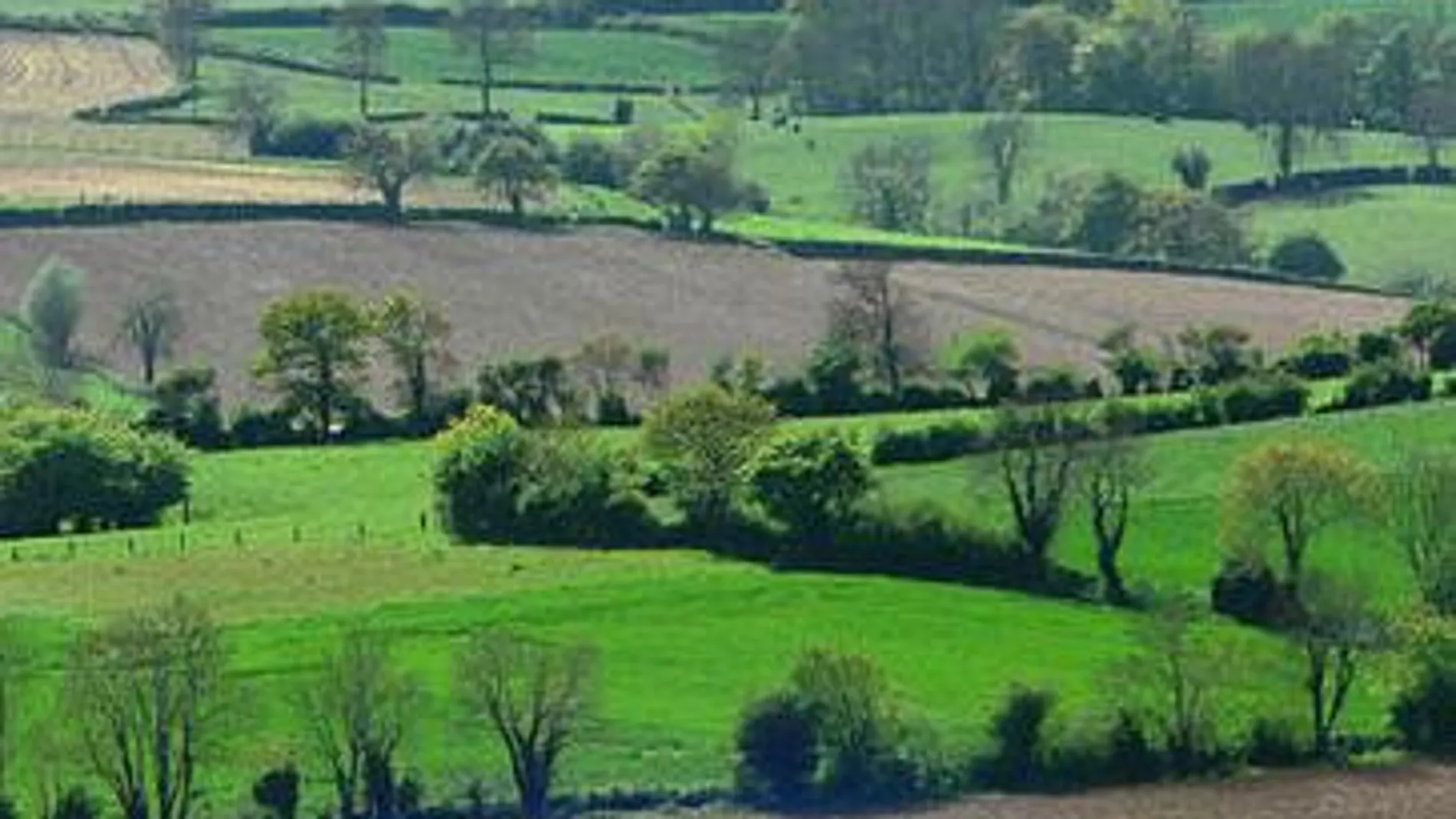 Entorno protegido por la Red Natura en Boulonnais Pas-de-Calais, Francia .