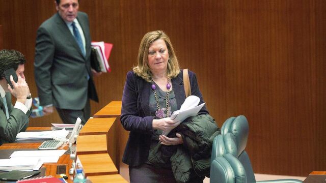La consejera de Hacienda, Pilar del Olmo, a su llegada al pleno de ayer en las Cortes regionales