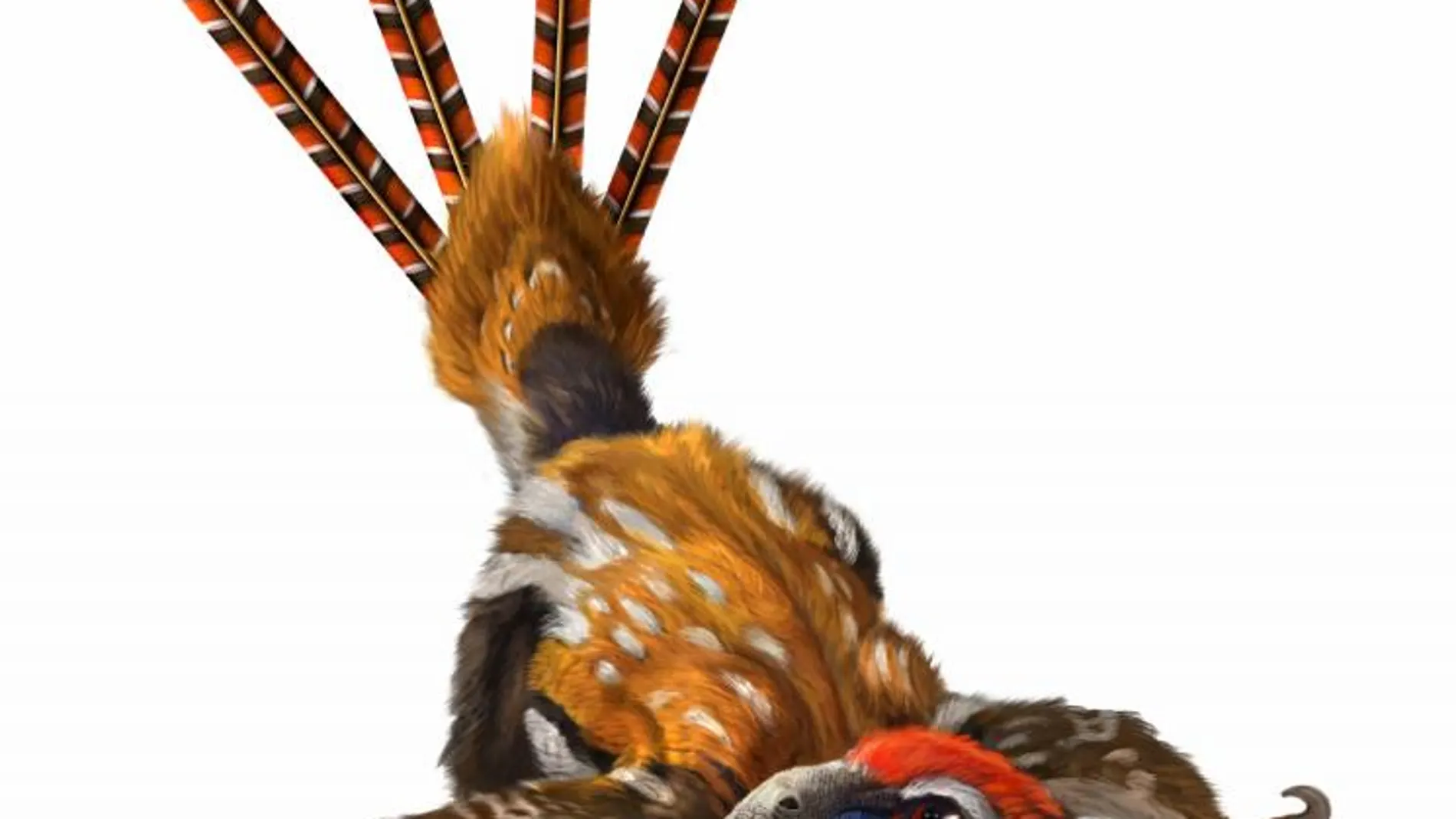 Epidexipteryx hui, cubierto de plumas