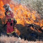 Arden más de 1.300 hectáreas en 287 incendios en lo que va de año