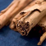Las lauráceas son apreciadas por la calidad de sus maderas. Las lauráceas son apreciadas por la calidad de sus maderas