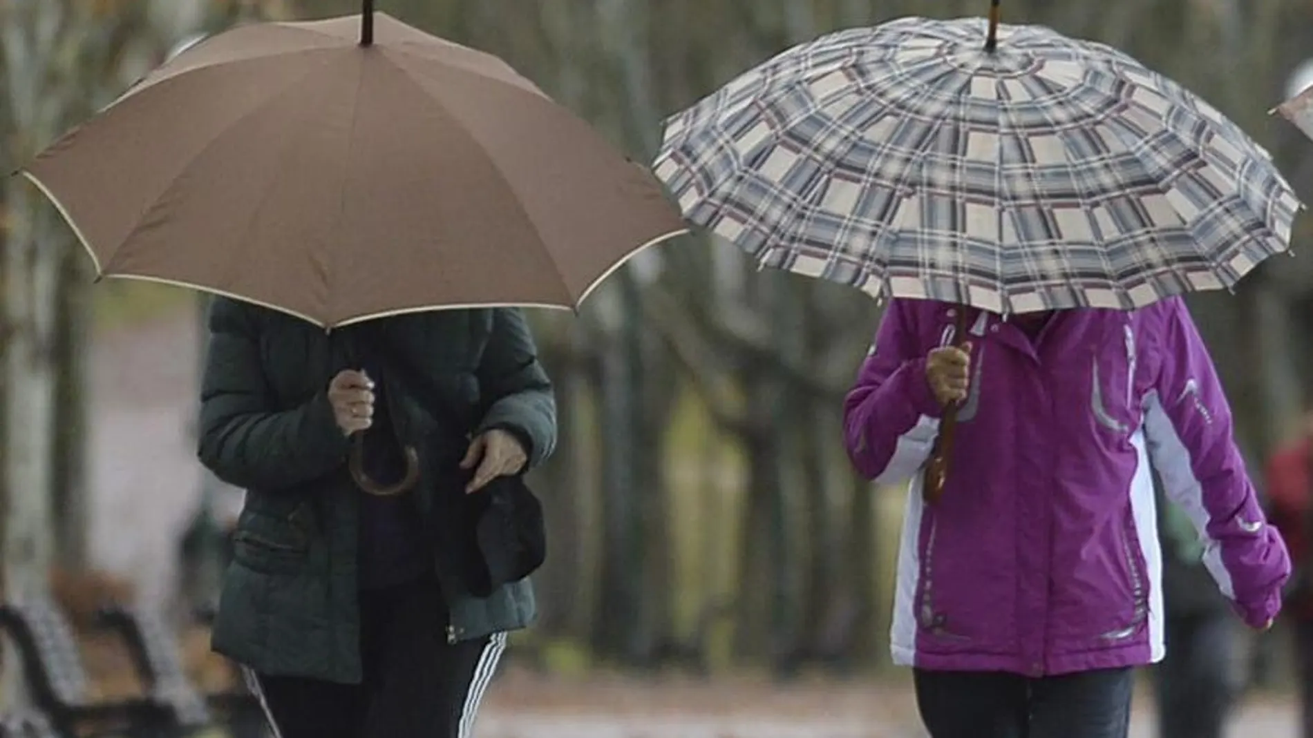 Tres mujeres pasean hoy por Valladolid protegiéndose con paraguas del aire y la lluvia.