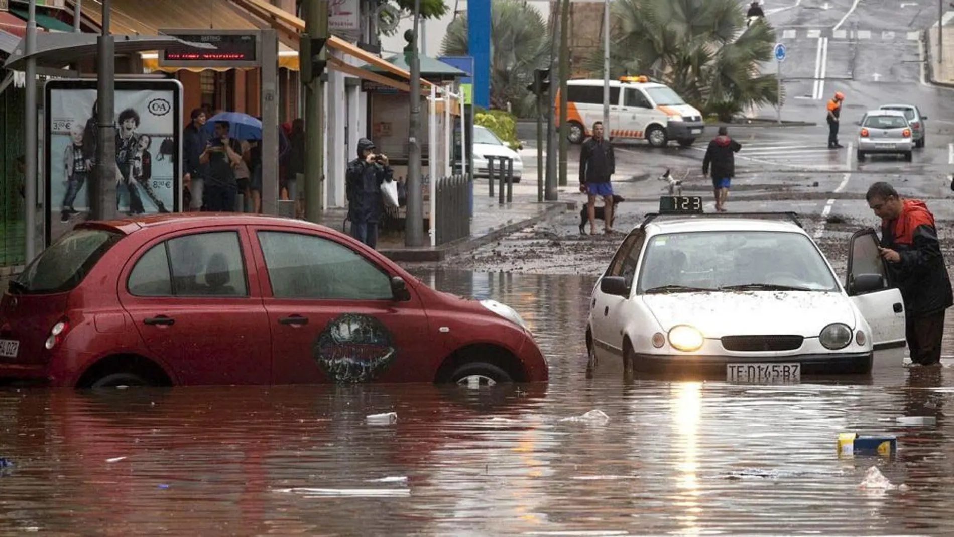 Vehículos atrapados en Santa Cruz de Tenerife a consecuencia de la tromba de agua que ha caído en las últimas horas.