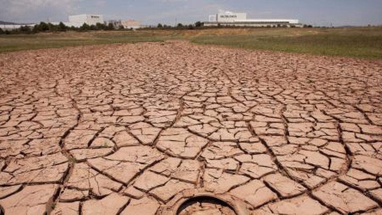 Cifran en 500 millones las pérdidas causadas en el campo por la sequía