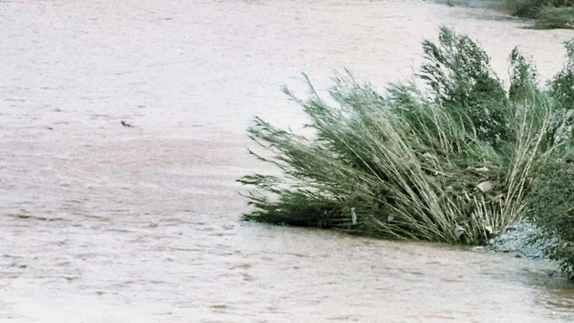 Imagen del río Llobregat.