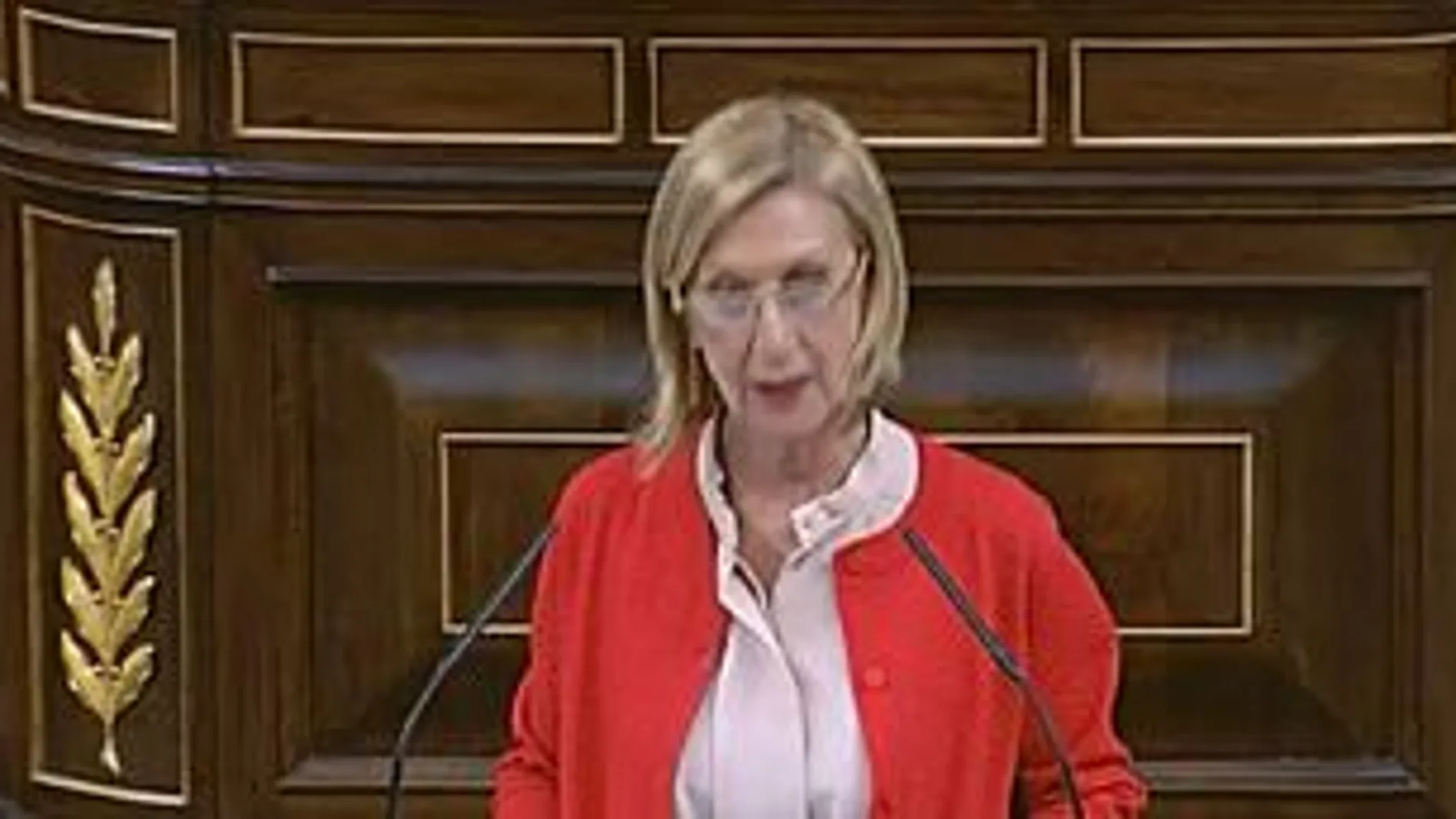 Rosa Díez, portavoz de UPyD, tona la palabra