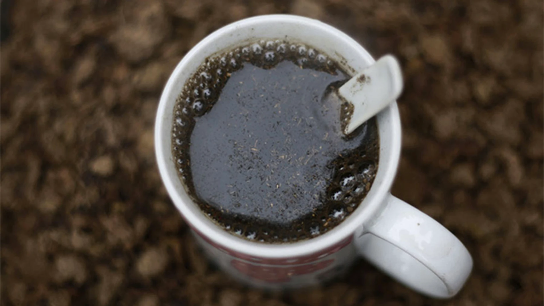 Imagen de una infusión de estiércol