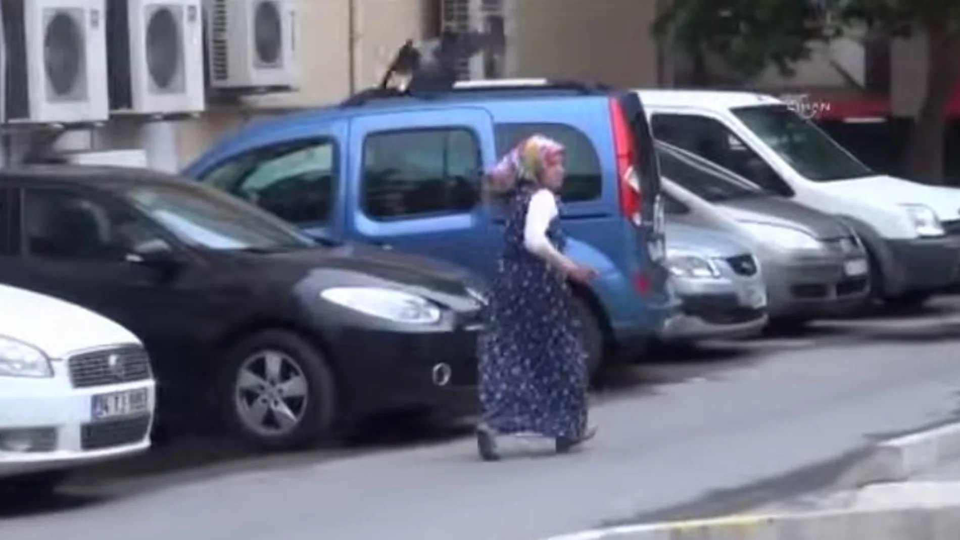 Una mujer huye durante uno de los ataques de estas aves de gran tamaño