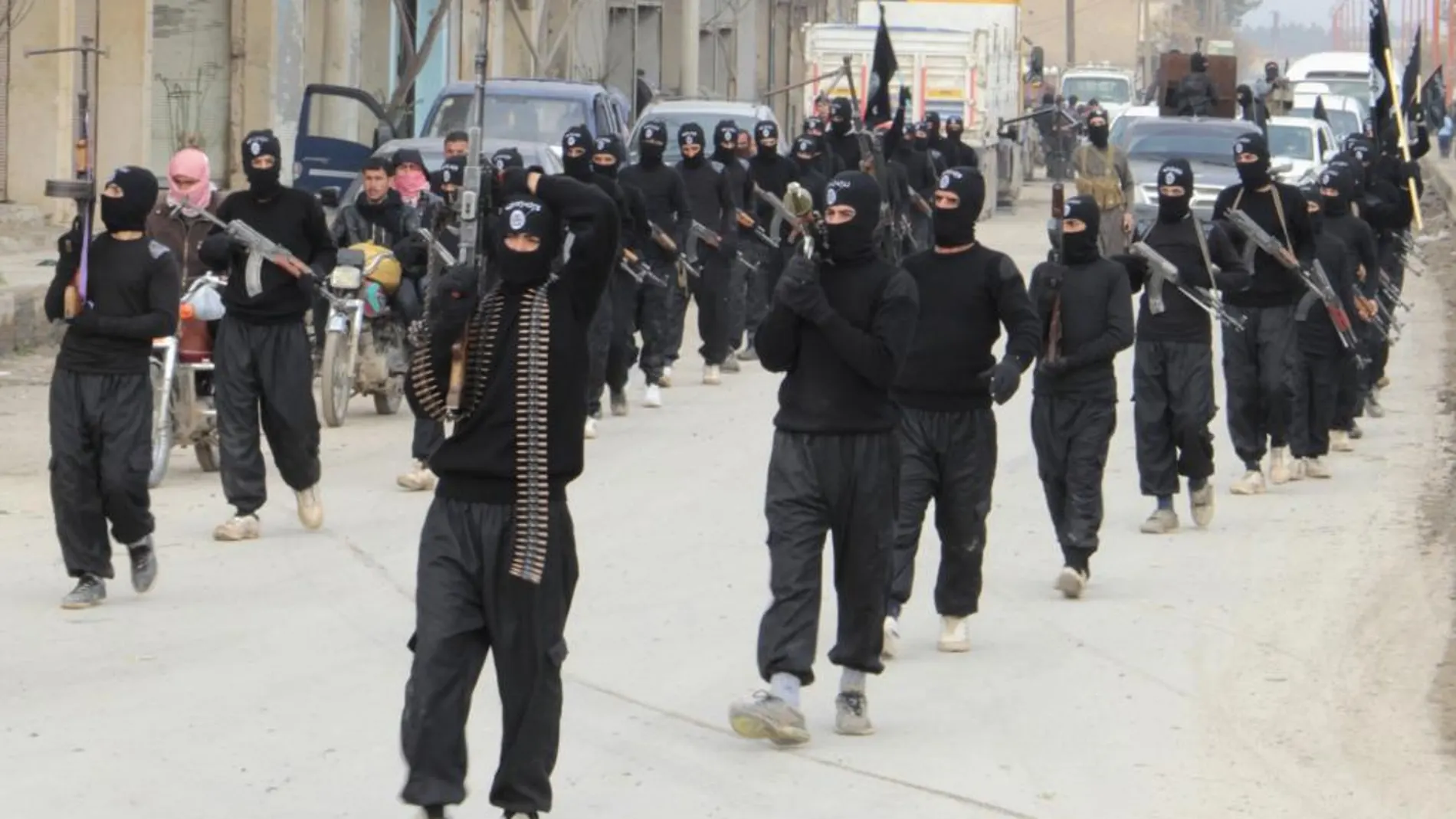 Combatientes de Al Qaida