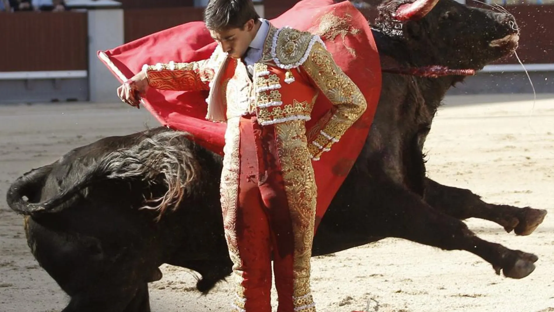 Jiménez Fortes realiza una bernadina en la plaza de toros de Las Ventas