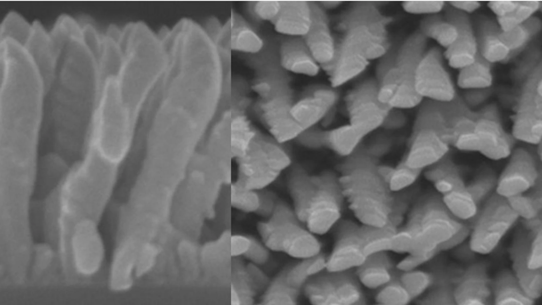 Vista lateral y cenital de las nanocolumnas de titanio del recubrimiento para implantes óseos