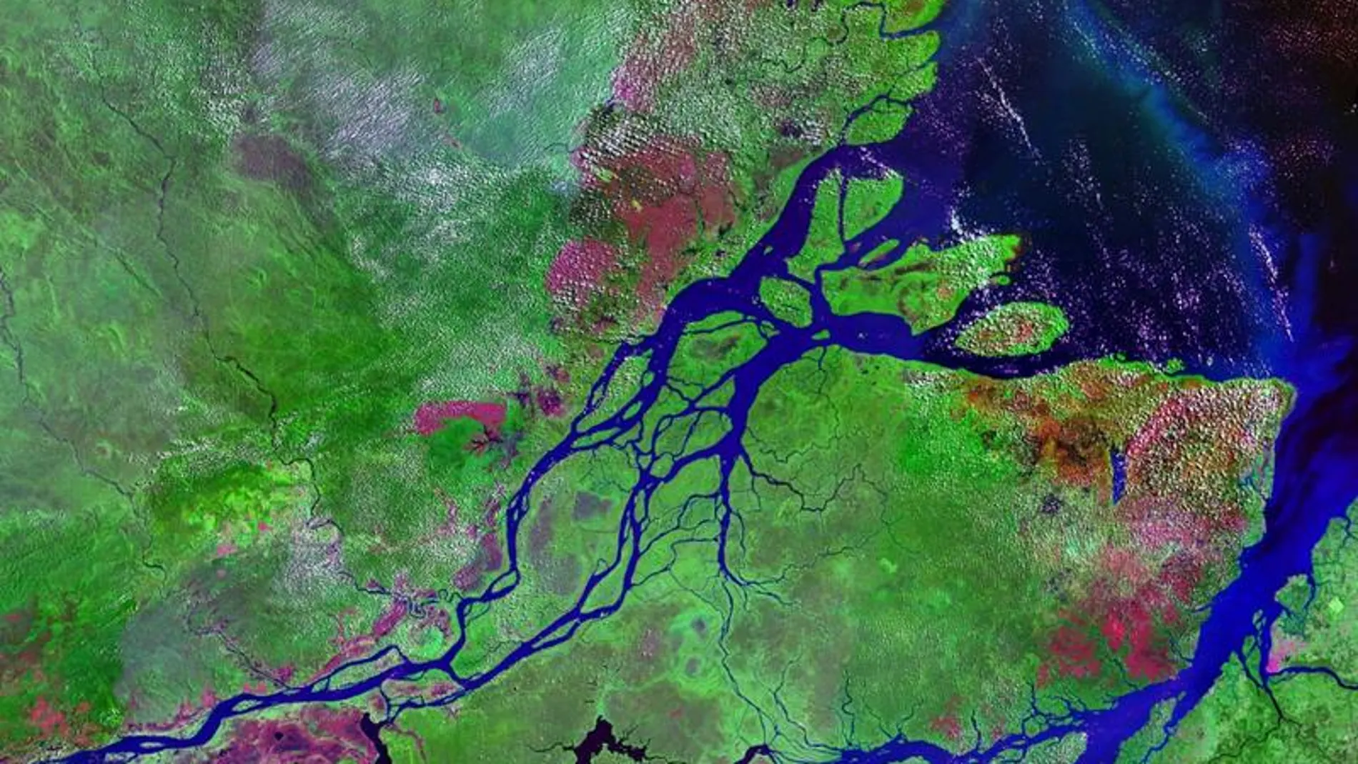Desembocadura del Amazonas a vista de satélite