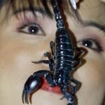 Una mujer besa a un escorpión