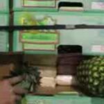 Incautados 2.500 kilos de cocaína en Algeciras ocultos en piñas tropicales