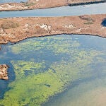 Una zona muerta marina