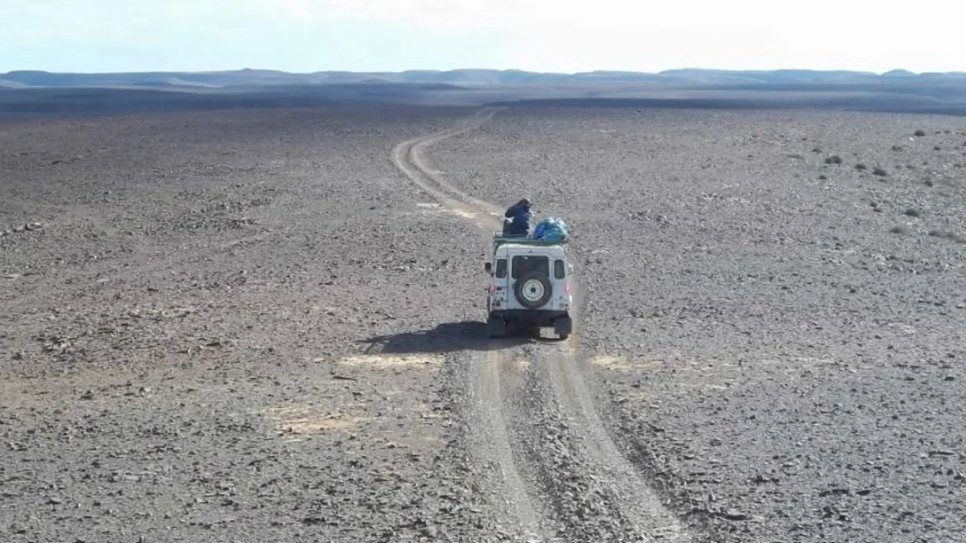 Biólogos españoles escrutan el horizonte en los montes Aydar (Sahara Occidental)