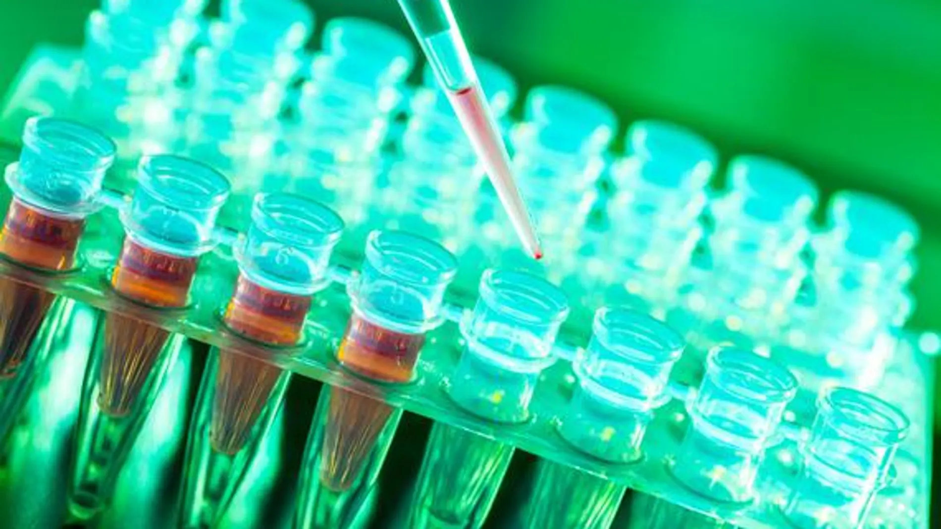 La posibilidad de hacer estudios genómicos a gran escala permite conocer en detalle el perfil molecular específico de los tumores