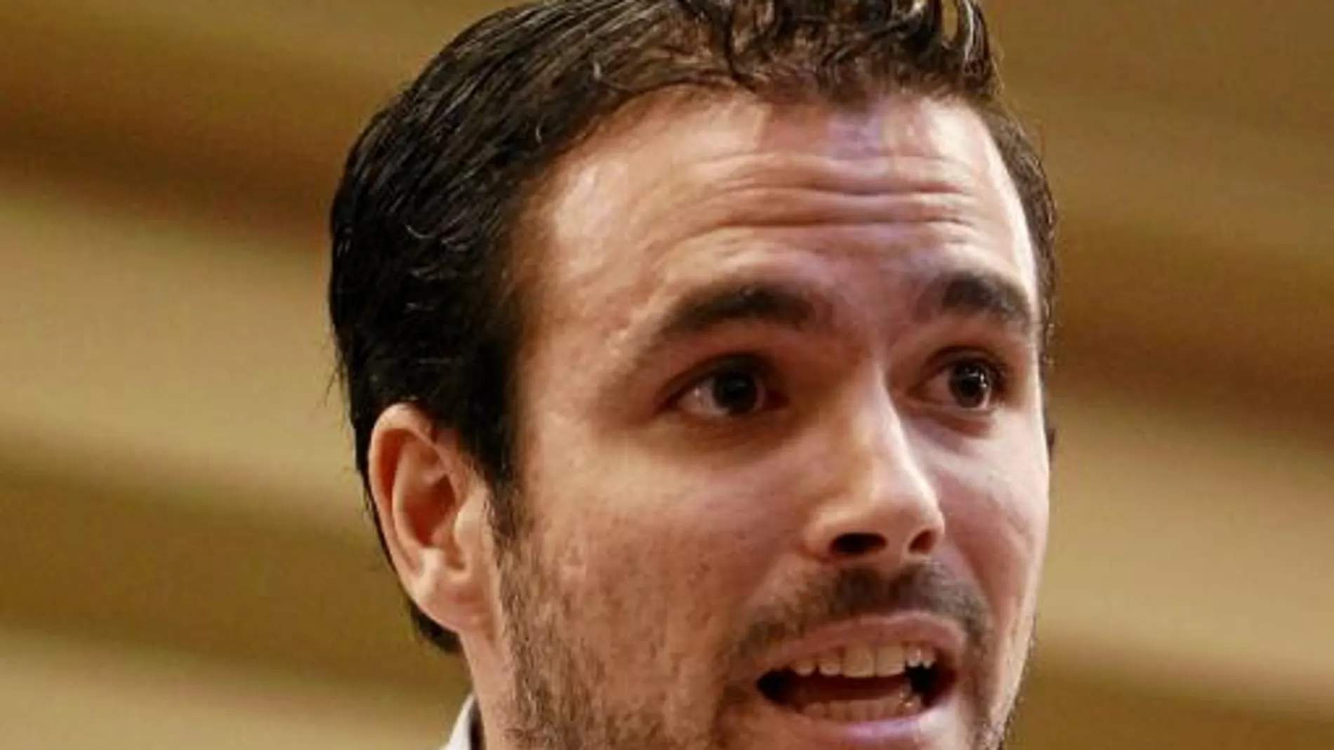 El diputado nacional por IU de Málaga, Alberto Garzón