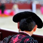 Valencia acogerá un seminario sobre la influencia del toreo en la Cultura