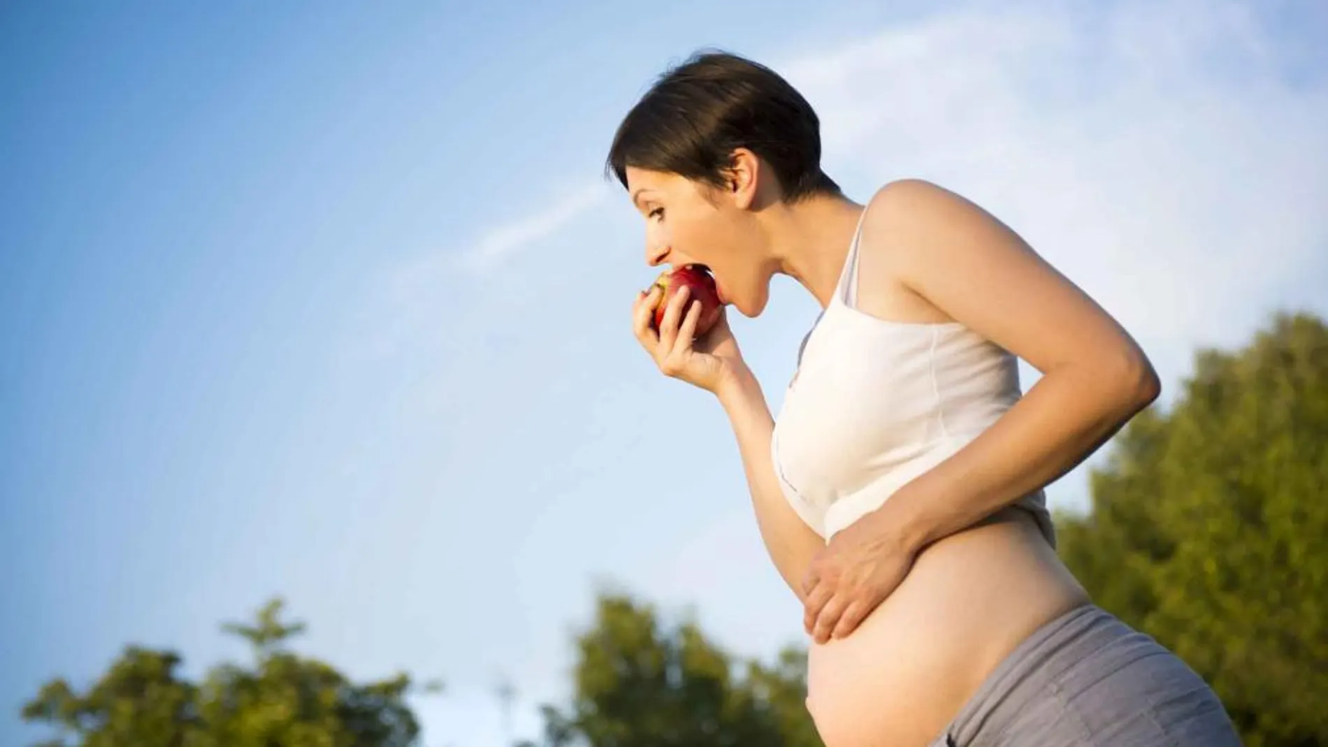 ¿Cómo debe ser la dieta durante el embarazo?