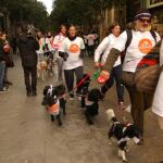 Los perros y sus dueños, por la calle de Fuencarral de Madrid