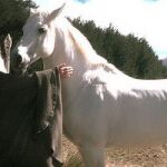 Gandalf junto a Sombragris en 'El Señor de los Anillos'
