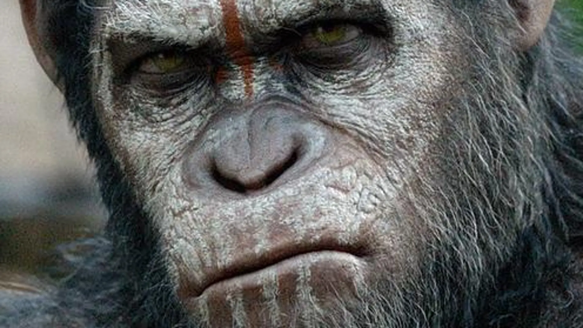 ¿Quién es César, el líder de los simios en «El amanecer del planeta de los simios»?
