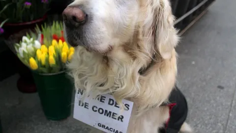 Ney, en la puerta de la floristería