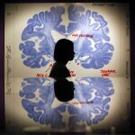 El cerebro humano