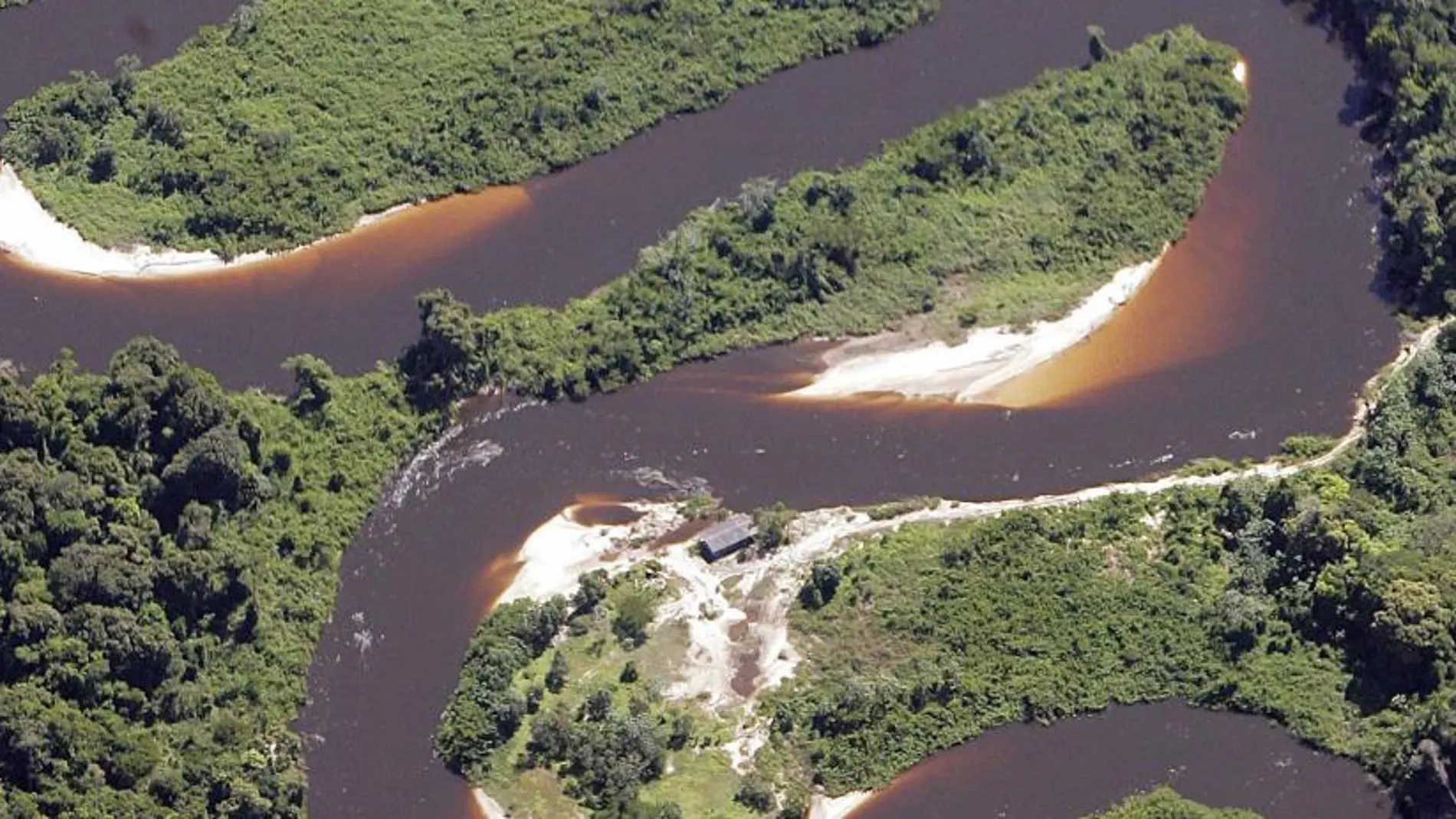 El Amazonas dejará de enfriar la atmósfera al emitir más CO2 del que absorbe