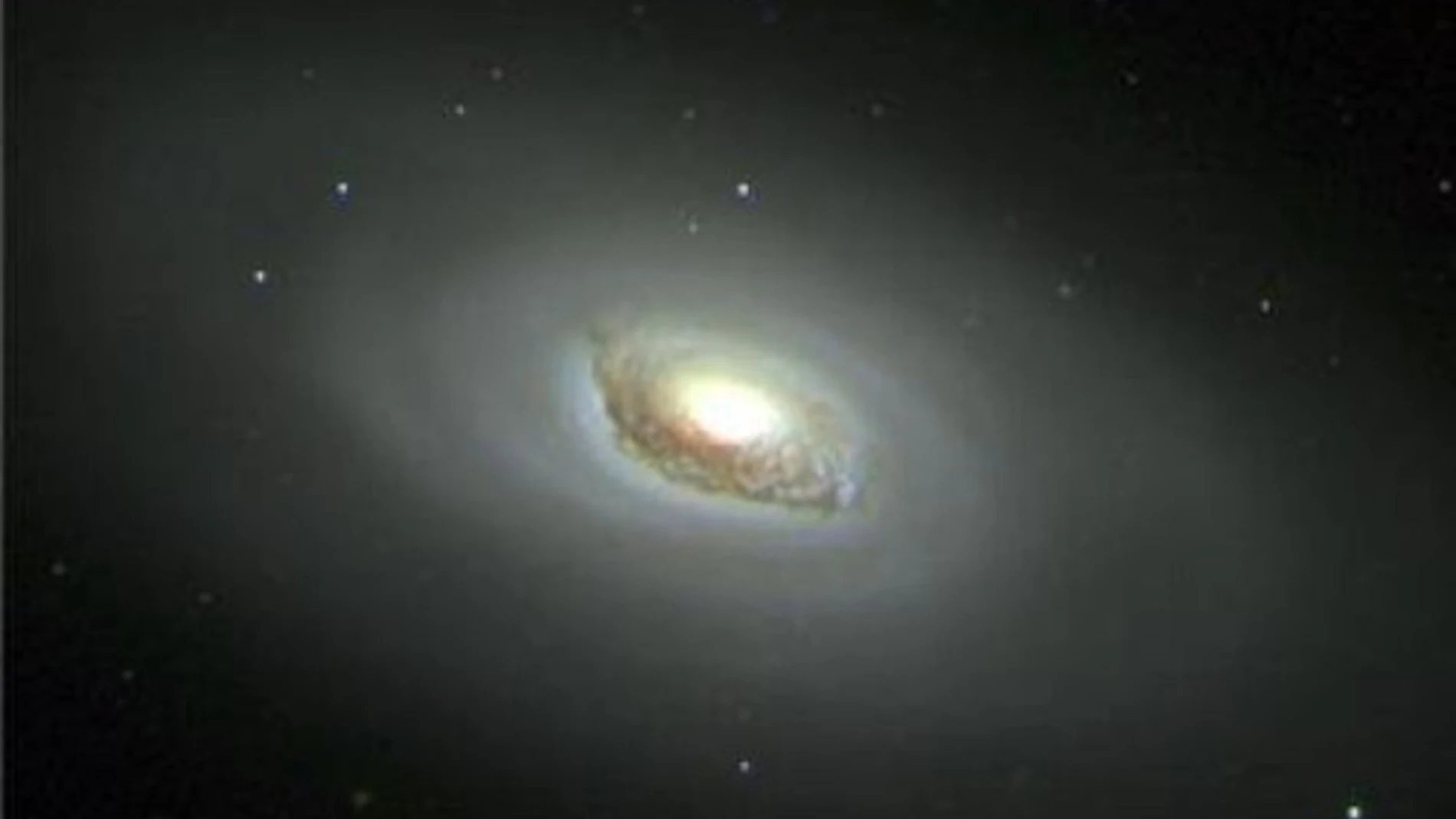 Las cosmólogas de la Universidad de Roma analizaron los datos de galaxias captados por el Sloan Sky Digital Survey para estudiar la naturaleza de la materia oscura