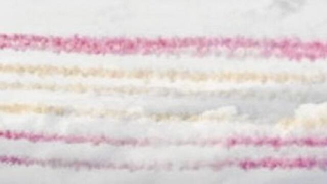 PATRULLA ÁGUILA. Los aviones pintaron ayer la bandera de España en los actos del 75 aniversario del Ejército del Aire en la base de Torrejón de Ardoz