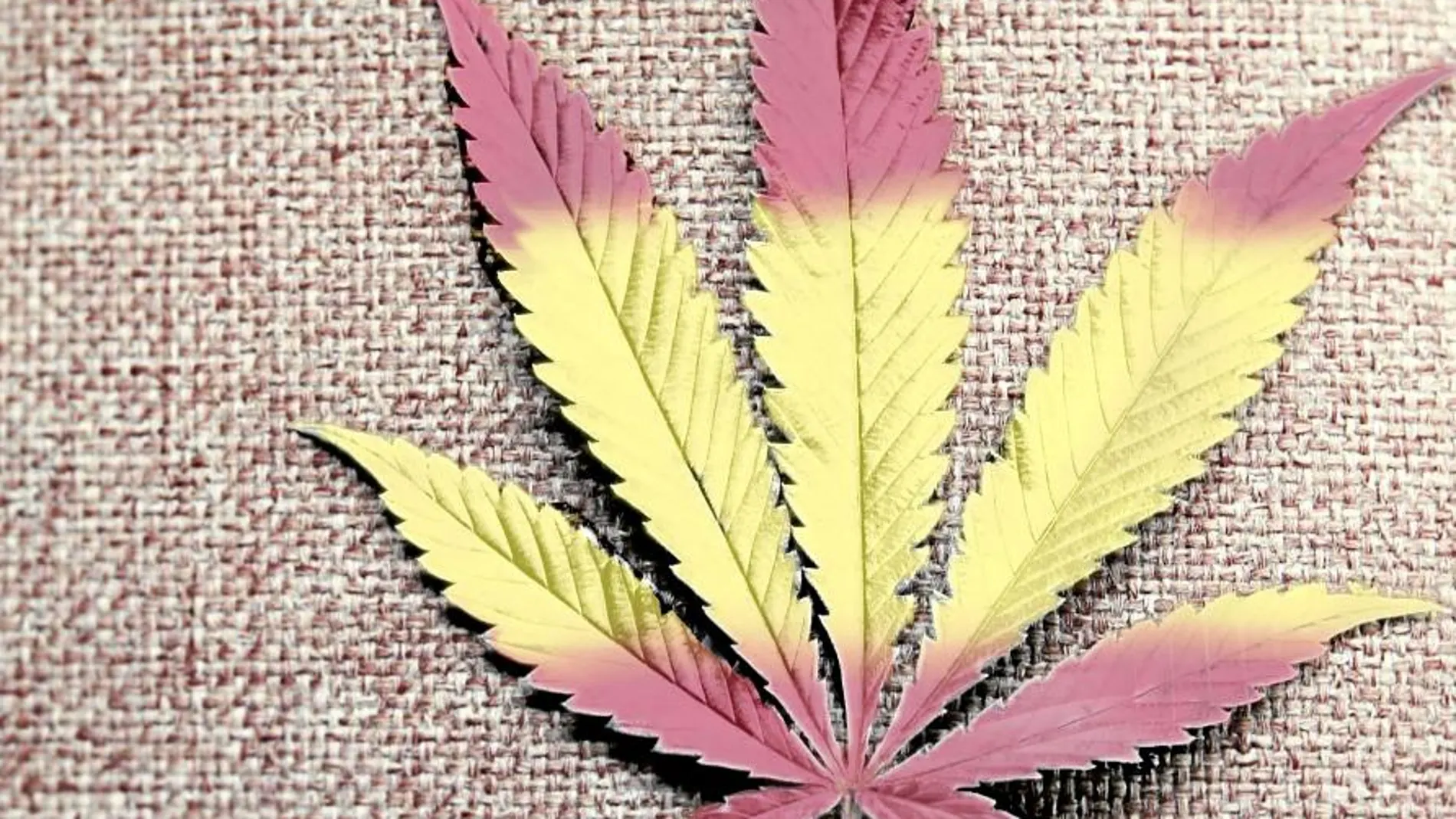 España en Verano: España capital porro