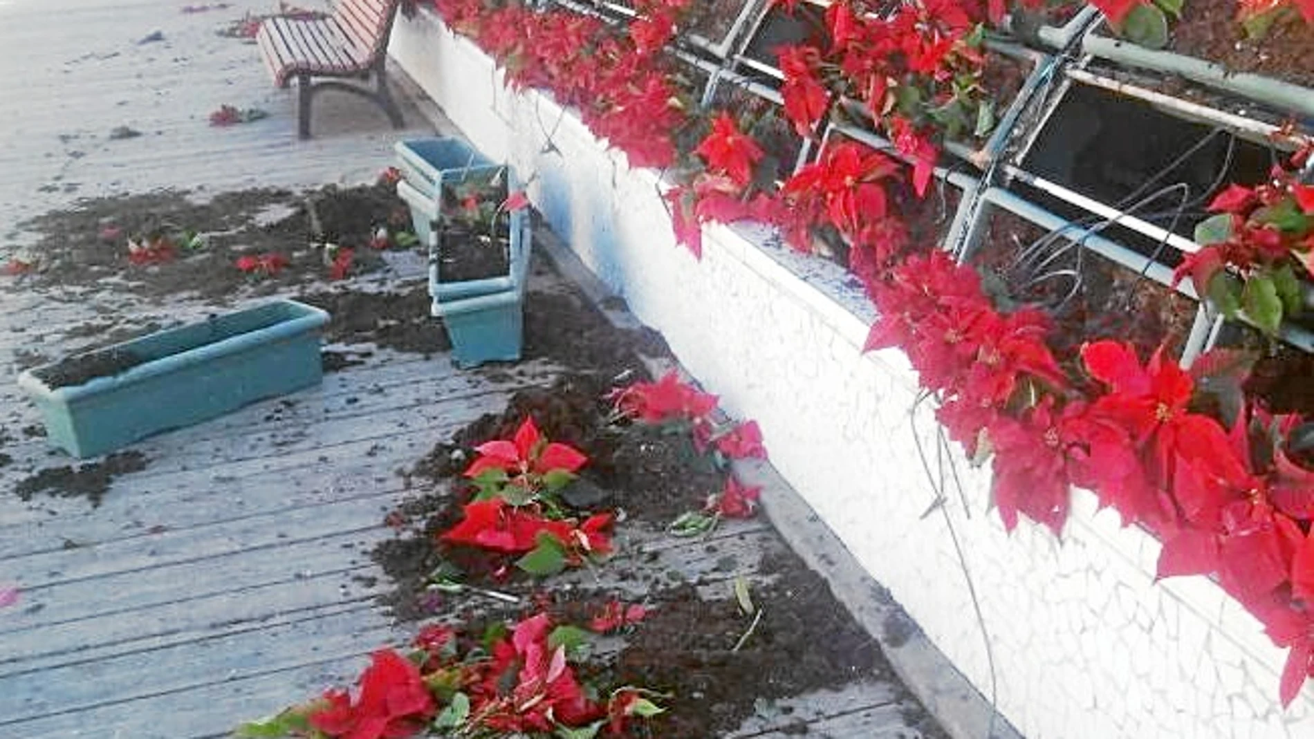 48 jardineras del Puente de las Flores fueron arrancadas