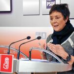 La procuradora y secretaria de Sanidad del PSOE de Castilla y León, Mercedes Martín comparece ante los medios, ayer en Valladolid