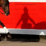  El caballo «Bolero», de Martín Burgos, falleció de un infarto mientras actuaba en Villalpando