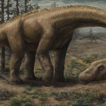 Ilustración de cómo podría ser el titanosaurio encontrado en Argentina